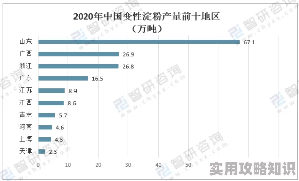 英语等级探究其划分标准、实用性与未来发展趋势